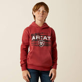 Ariat Kids / Ariat Liquid Stamp Flag Hoodie